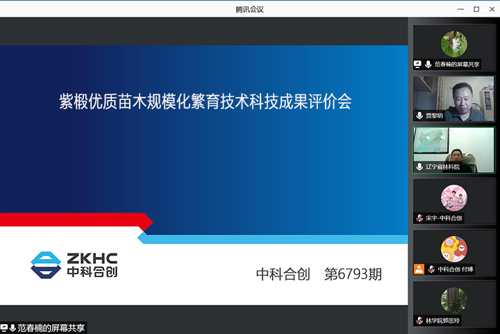 紫椴优质苗木规模化繁育技术 xiao.jpg